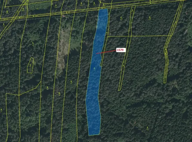 Dražba lesa, Nová Bystřice, 8581 m2