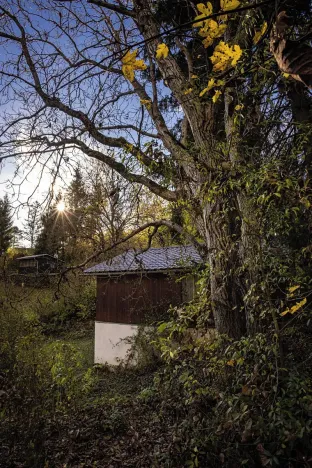 Prodej chaty, Heroltice, 79 m2