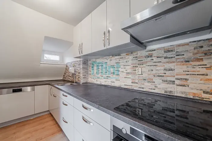 Prodej vícegeneračního domu, Ostrava, 250 m2