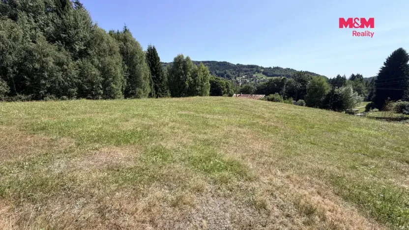 Prodej pozemku pro bydlení, Tanvald - Žďár, 2000 m2
