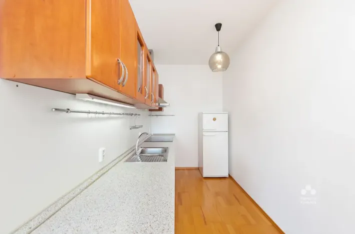 Pronájem bytu 1+kk, Praha - Podolí, Dvorecká, 55 m2