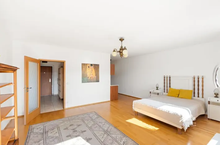 Pronájem bytu 1+kk, Praha - Podolí, Dvorecká, 55 m2