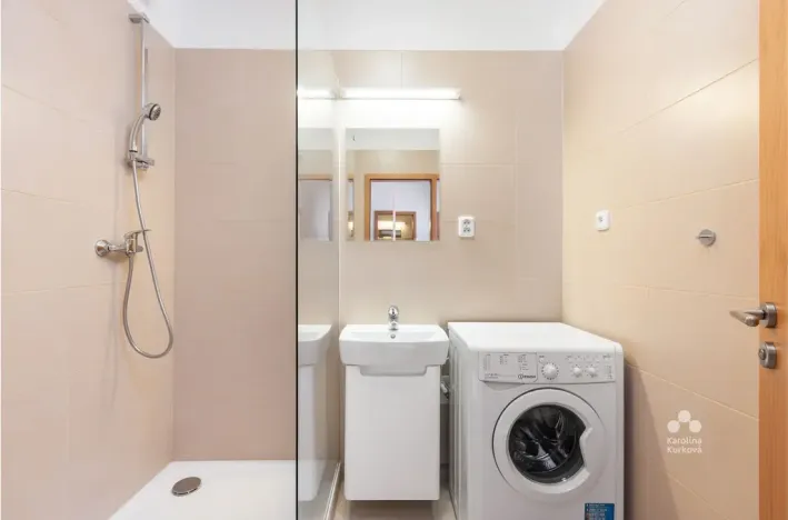 Pronájem bytu 1+kk, Praha - Podolí, Dvorecká, 55 m2