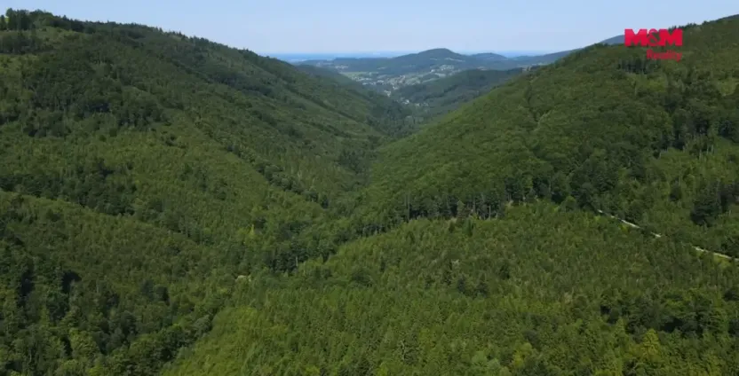Prodej lesa, Nýdek, 207244 m2