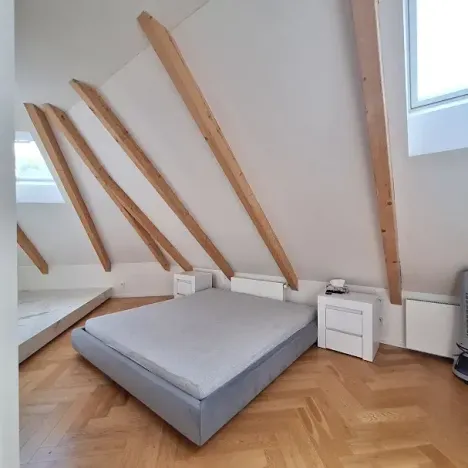 Pronájem bytu 2+1, Praha - Karlín, Březinova, 90 m2