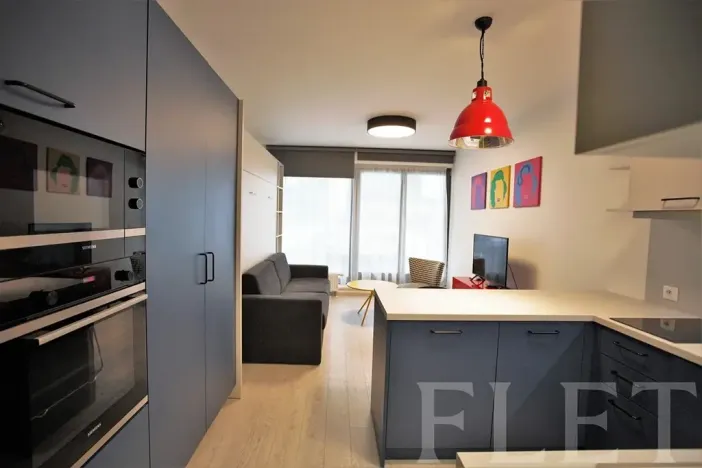 Pronájem bytu 1+kk, Praha - Karlín, Sokolovská, 31 m2