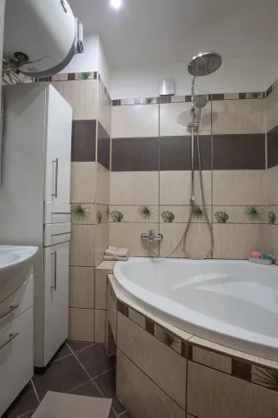 Pronájem bytu 2+kk, Praha - Žižkov, Jana Želivského, 56 m2