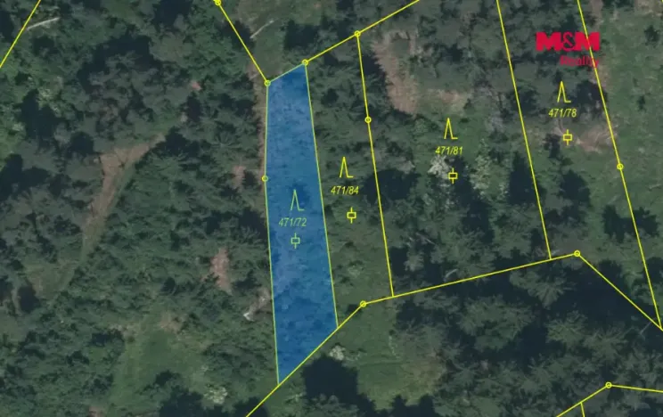 Prodej lesa, Slabčice - Písecká Smoleč, 48910 m2