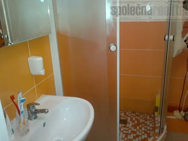 Pronájem bytu 1+kk, Praha - Záběhlice, Topolová, 40 m2
