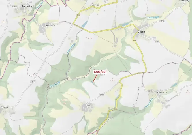 Dražba lesa, Čestín, 557 m2
