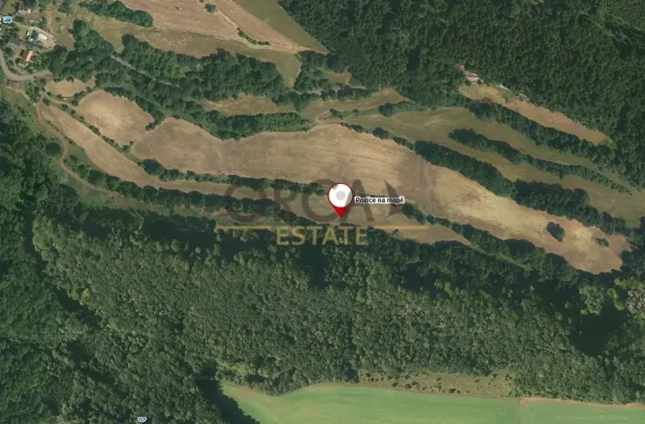 Prodej louky, Kyje, 30391 m2
