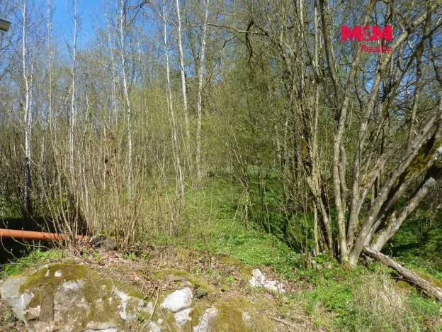 Prodej pozemku pro bydlení, Brzice, 1453 m2