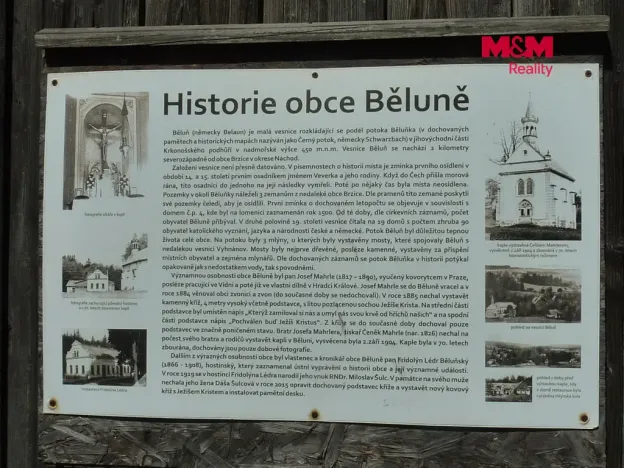 Prodej pozemku pro bydlení, Brzice, 1453 m2