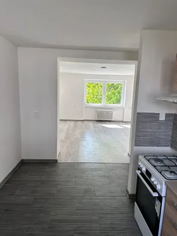 Pronájem bytu 2+1, Chomutov, Pionýrů, 65 m2