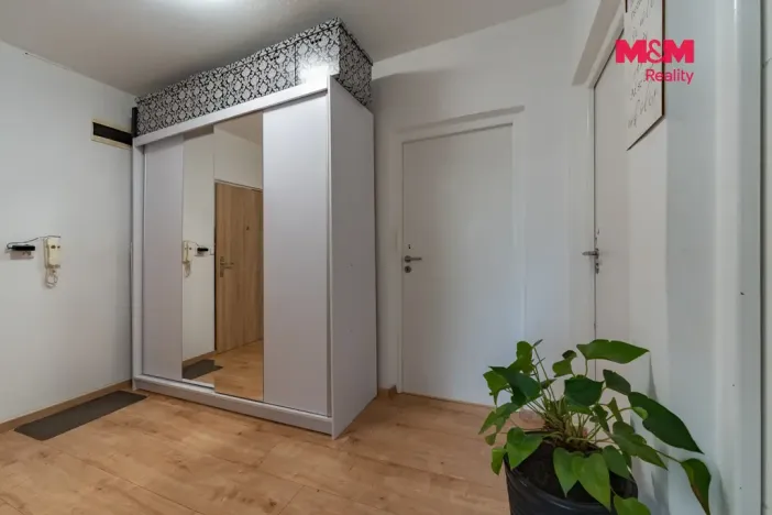 Pronájem bytu 3+1, Cheb, Lesní, 75 m2