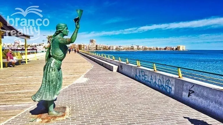 Prodej rodinného domu, Torrevieja, Alicante, Španělsko, 185 m2