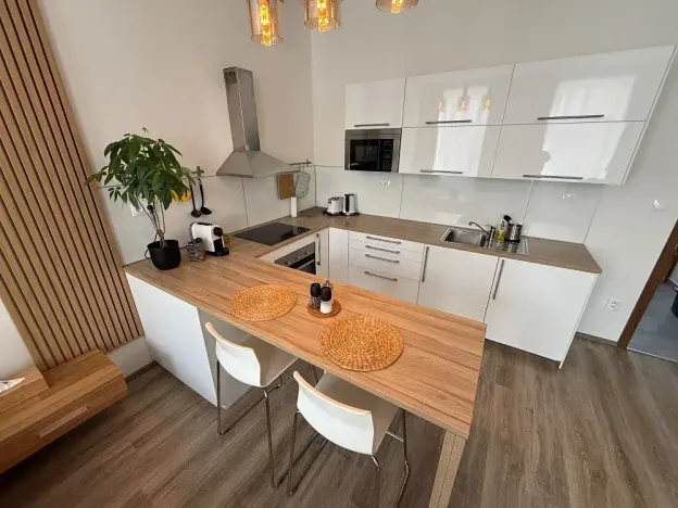 Pronájem bytu 1+kk, Brno, Francouzská, 40 m2