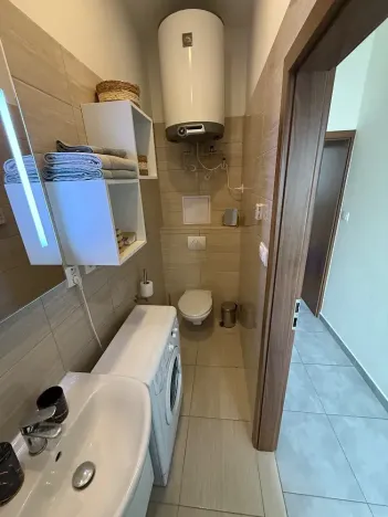 Pronájem bytu 1+kk, Brno, Francouzská, 40 m2