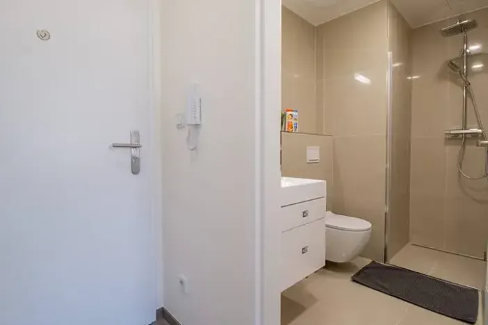 Pronájem bytu 2+kk, Praha - Vinohrady, Perucká, 40 m2
