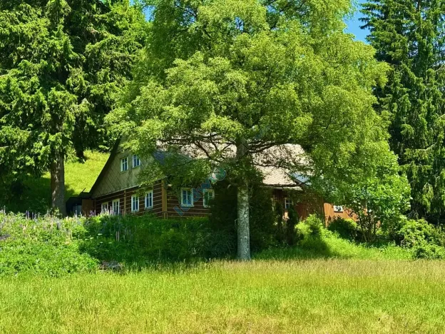 Prodej chalupy, Malá Úpa, 158 m2
