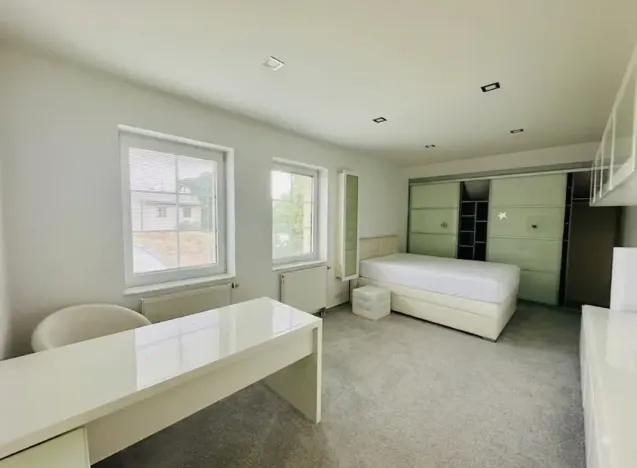 Pronájem rodinného domu, Bašť, Za Vilou, 300 m2