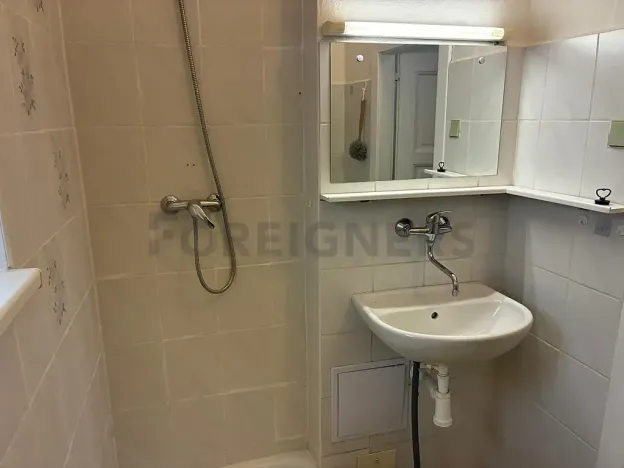 Pronájem bytu 2+1, Olomouc, Škroupova, 60 m2