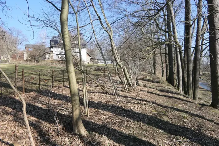 Prodej lesa, Raspenava, 656 m2