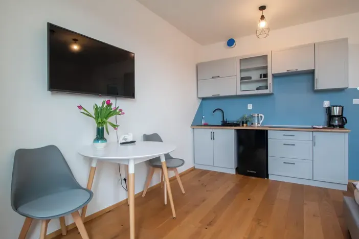 Pronájem bytu 1+kk, Praha, Perucká, 27 m2