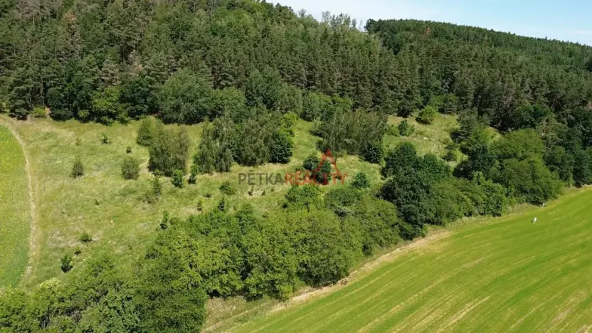 Prodej louky, Neveklov, 12084 m2