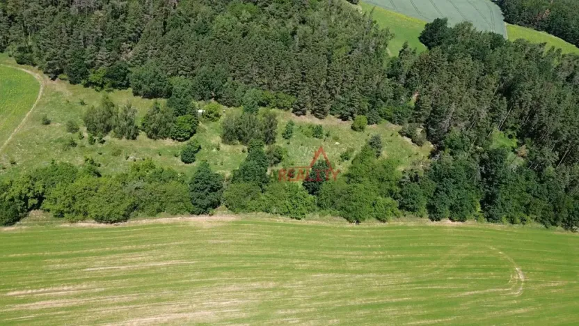 Prodej louky, Neveklov, 12084 m2