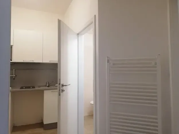 Pronájem bytu 2+1, Praha - Bubeneč, U zeměpisného ústavu, 45 m2