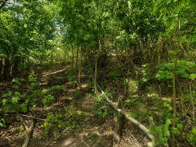 Prodej pozemku pro bydlení, Lom, Tyršova stezka, 888 m2