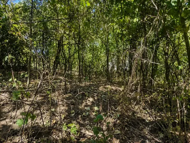 Prodej pozemku pro bydlení, Lom, Tyršova stezka, 888 m2