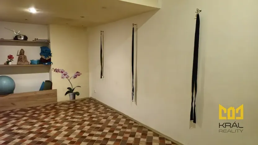 Pronájem obchodního prostoru, Praha - Žižkov, Viklefova, 15 m2