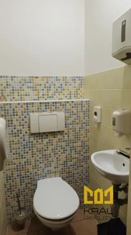 Pronájem obchodního prostoru, Praha - Žižkov, Viklefova, 15 m2