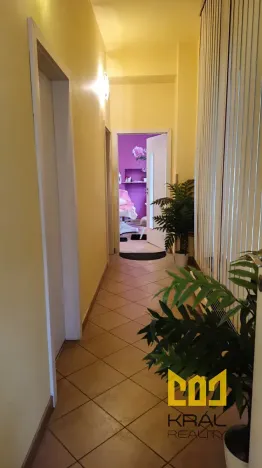 Pronájem obchodního prostoru, Praha - Žižkov, Viklefova, 9 m2
