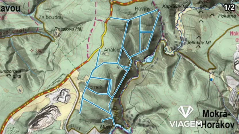 Prodej podílu lesa, Brno, 6105 m2