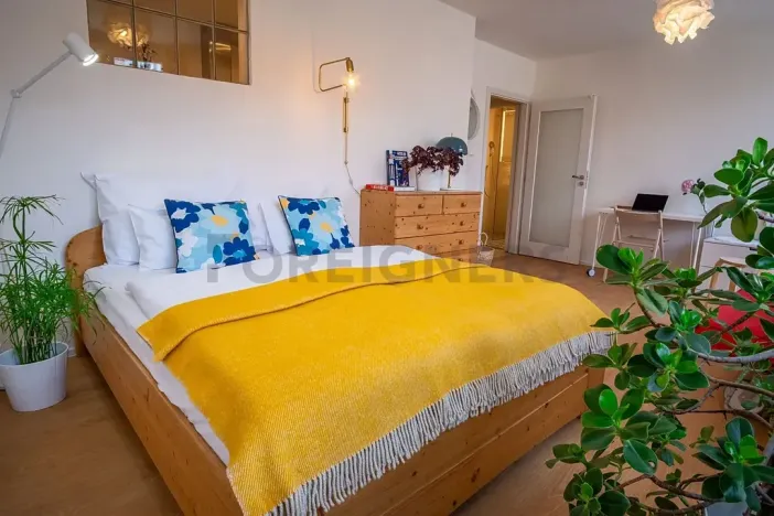 Pronájem bytu 1+1, Praha - Žižkov, Baranova, 35 m2