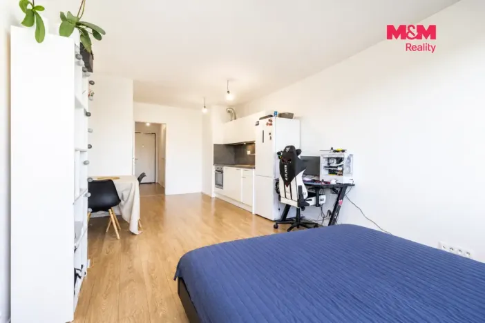 Prodej bytu 1+kk, Praha - Chodov, Bachova, 38 m2