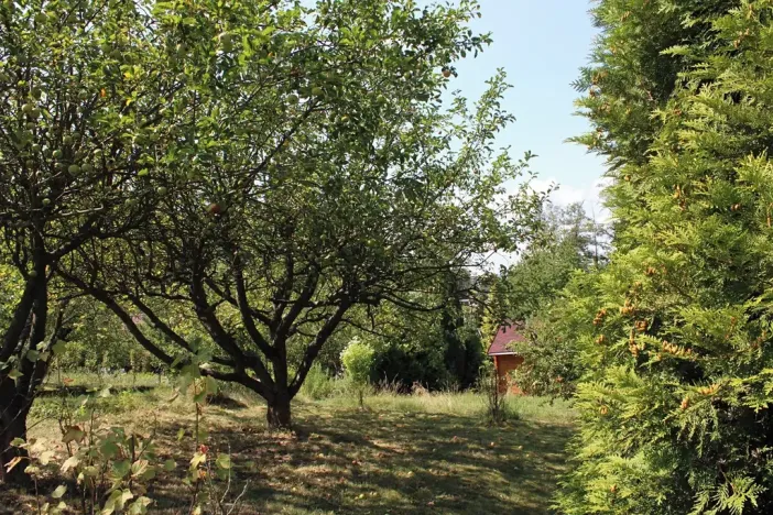 Prodej zahrady, Těšovice, 506 m2