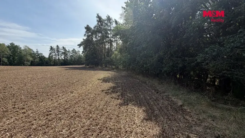 Prodej pole, Úštěk, 8460 m2
