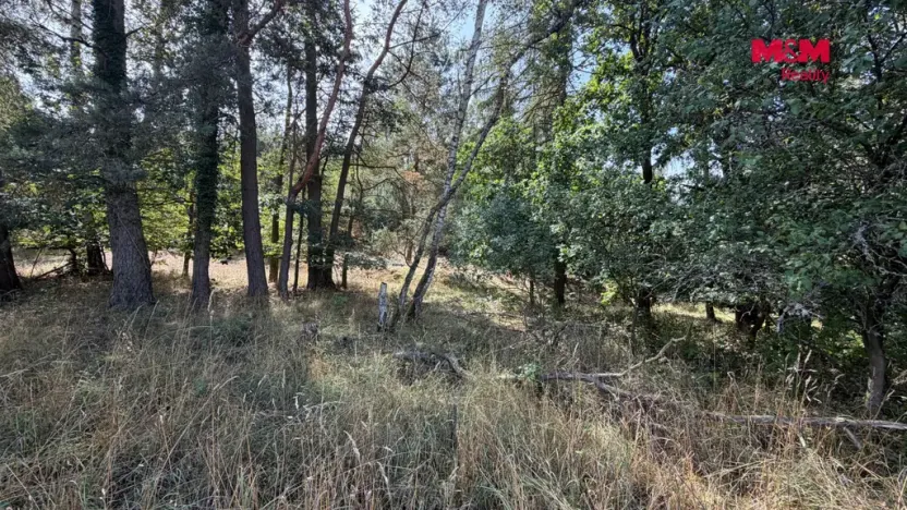 Prodej pole, Úštěk, 8460 m2
