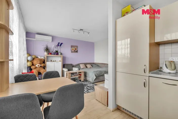 Prodej bytu 1+kk, Pardubice - Zelené Předměstí, nábřeží Závodu míru, 35 m2