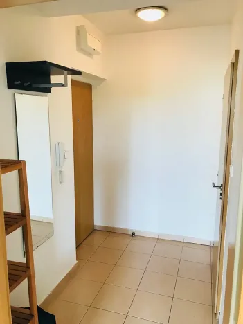 Prodej bytu 1+kk, Brno, Křížkovského, 30 m2