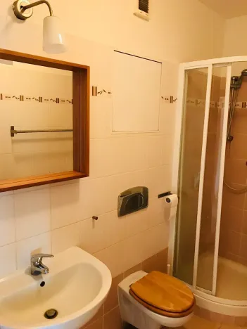 Prodej bytu 1+kk, Brno, Křížkovského, 30 m2