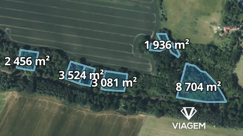 Prodej lesa, Katusice, 6304 m2