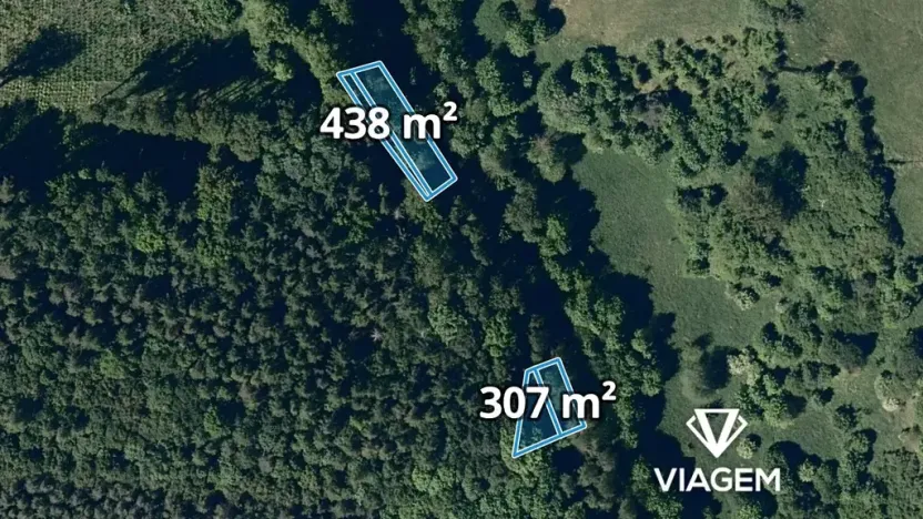 Prodej lesa, Lhota, 2135 m2