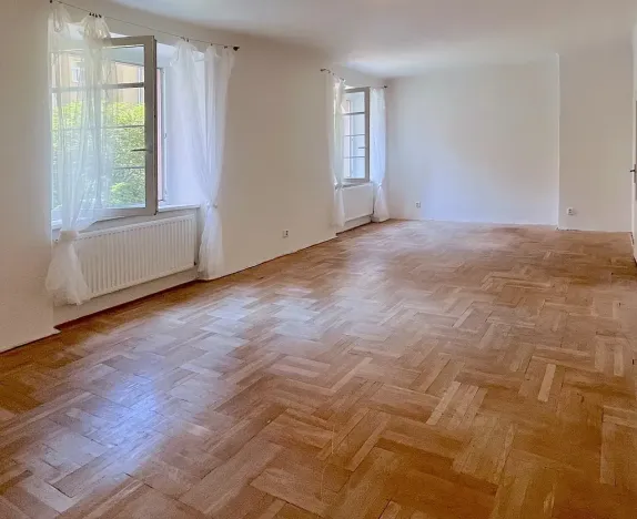 Pronájem bytu 1+1, Brno, Gorkého, 45 m2