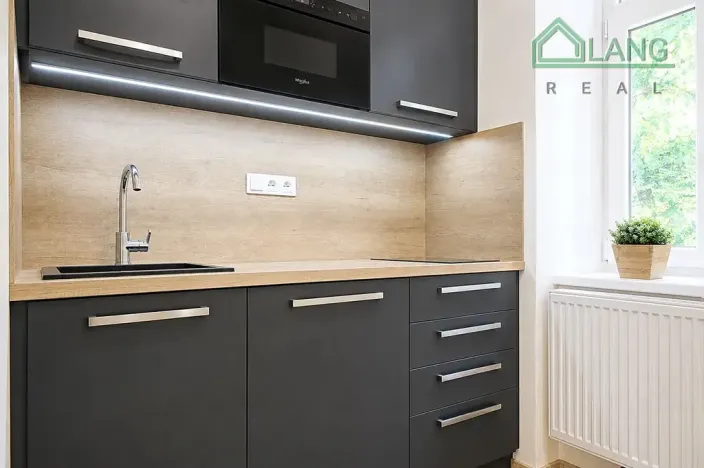 Pronájem bytu 1+1, Brno, Koliště, 30 m2