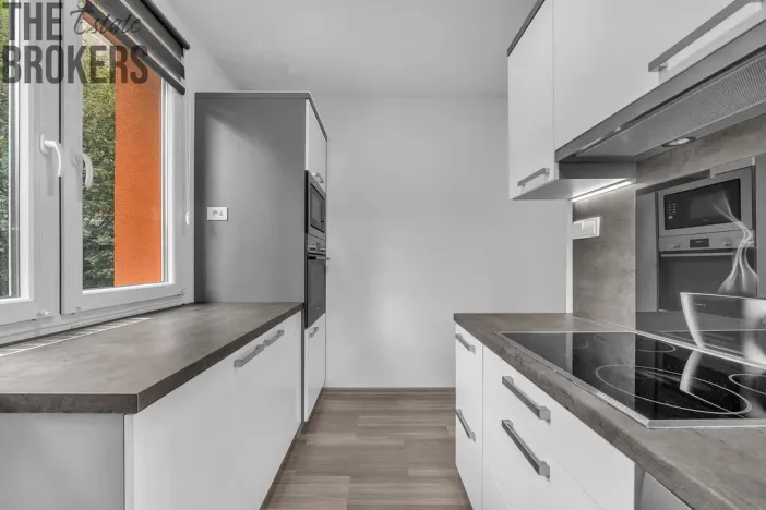 Prodej bytu 2+1, Ústí nad Labem - Severní Terasa, Kmochova, 61 m2